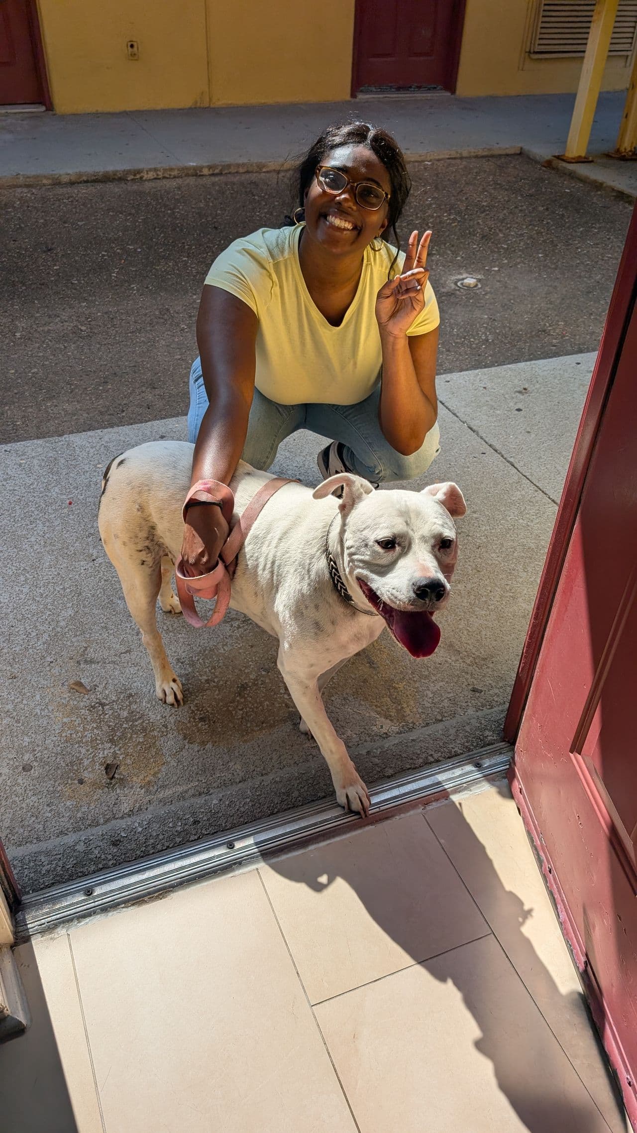 Pet travel photo 3