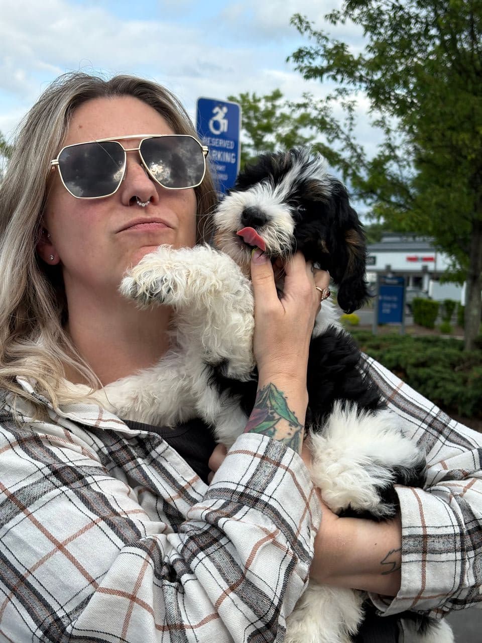 Pet travel photo 6