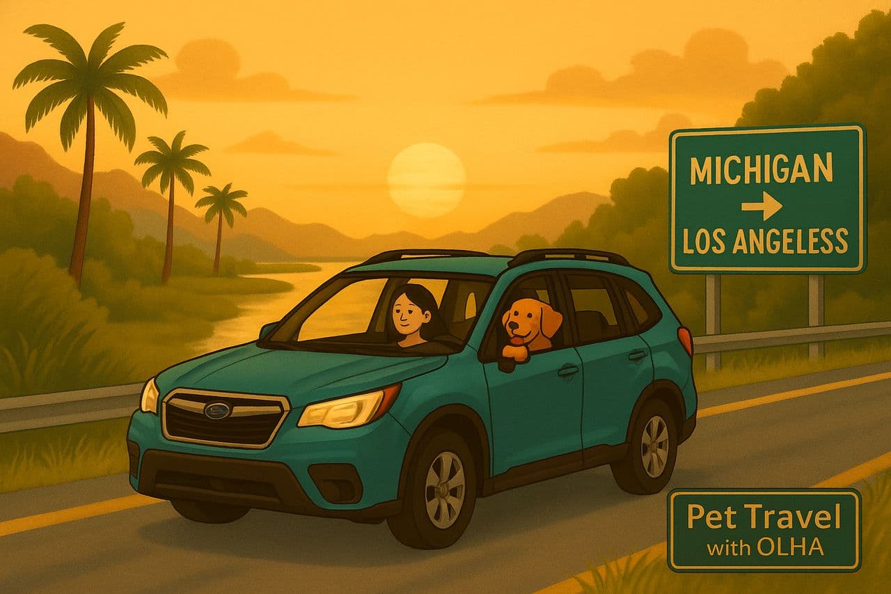 Pet travel photo 6