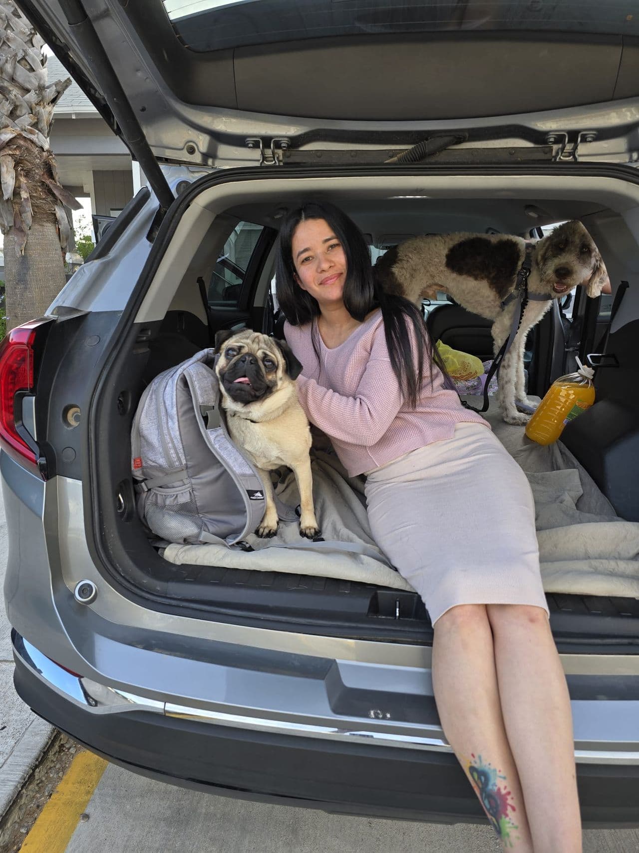 Pet travel photo 1