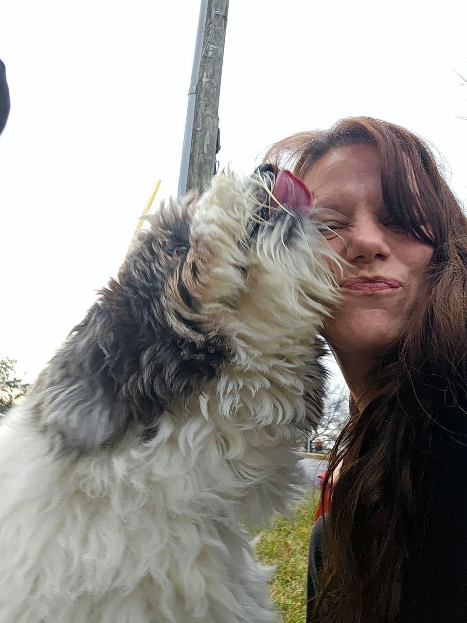 Pet travel photo 4