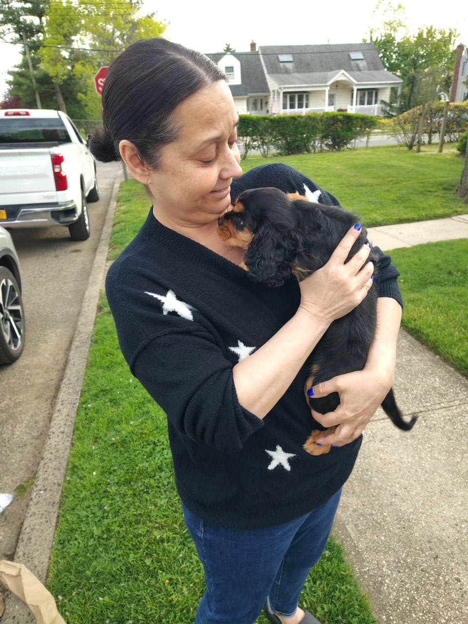 Pet travel photo 1