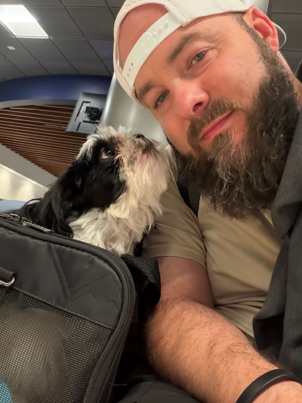 Pet travel photo 1