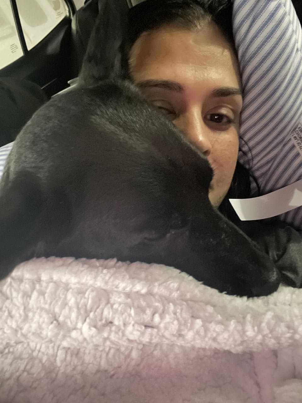 Pet travel photo 2