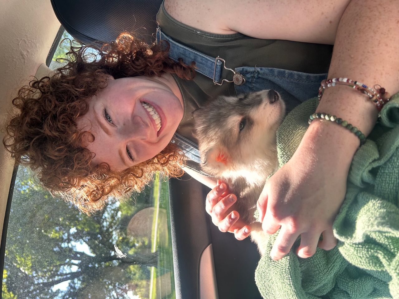 Pet travel photo 1