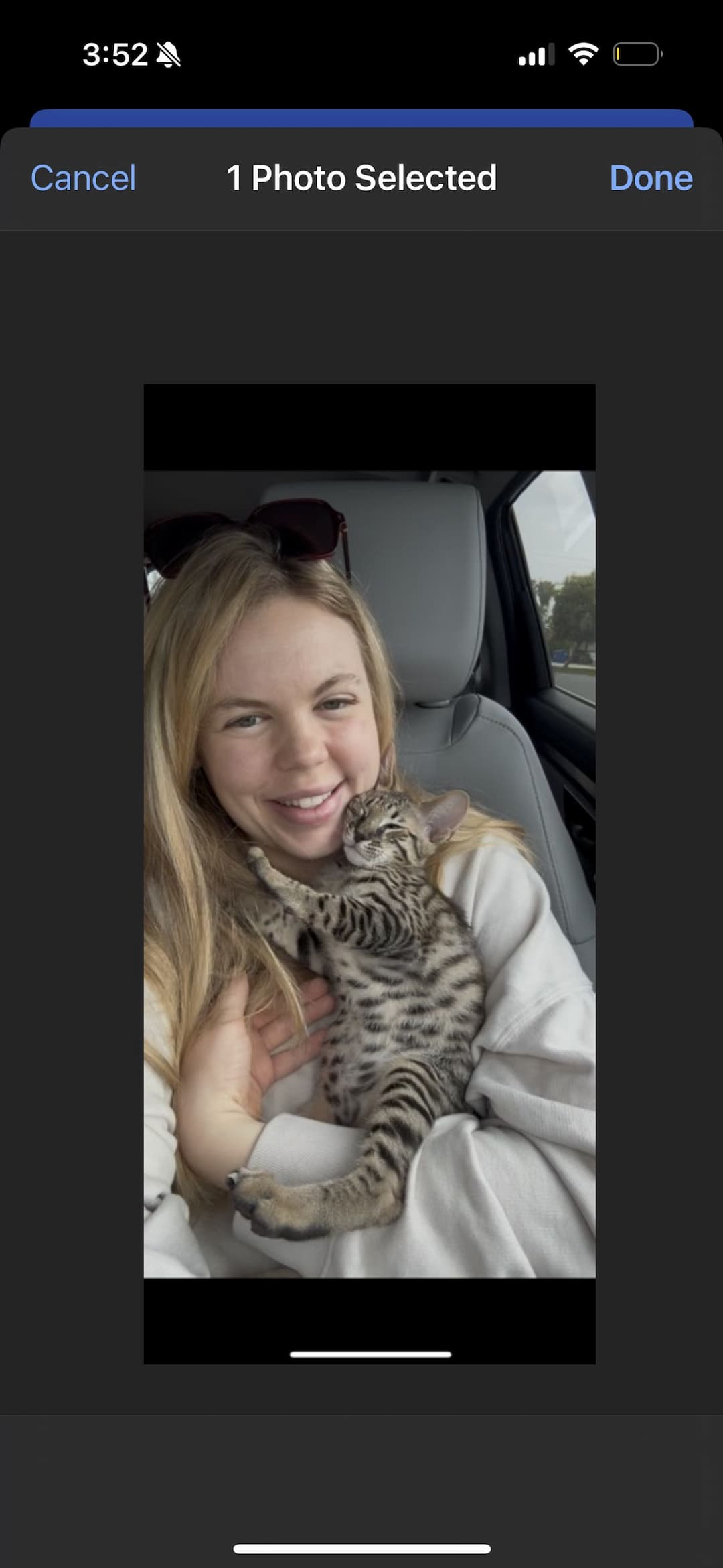 Wheelin Pet Transport/ Flight Nanny