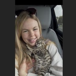 Wheelin Pet Transport/ Flight Nanny