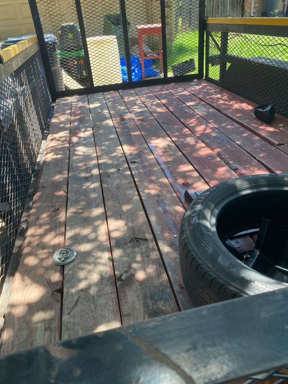 Pet travel photo 3