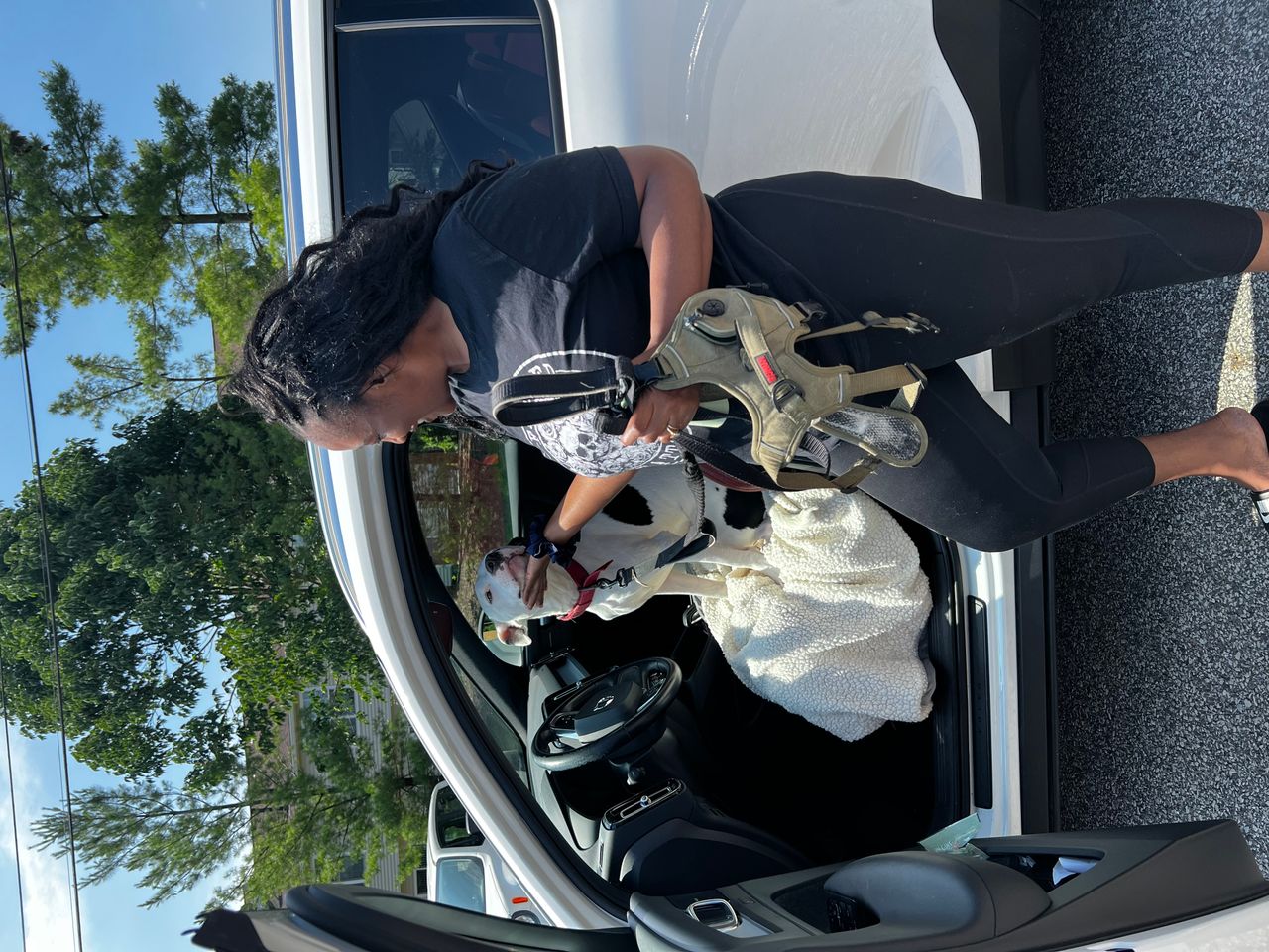 Pet travel photo 2