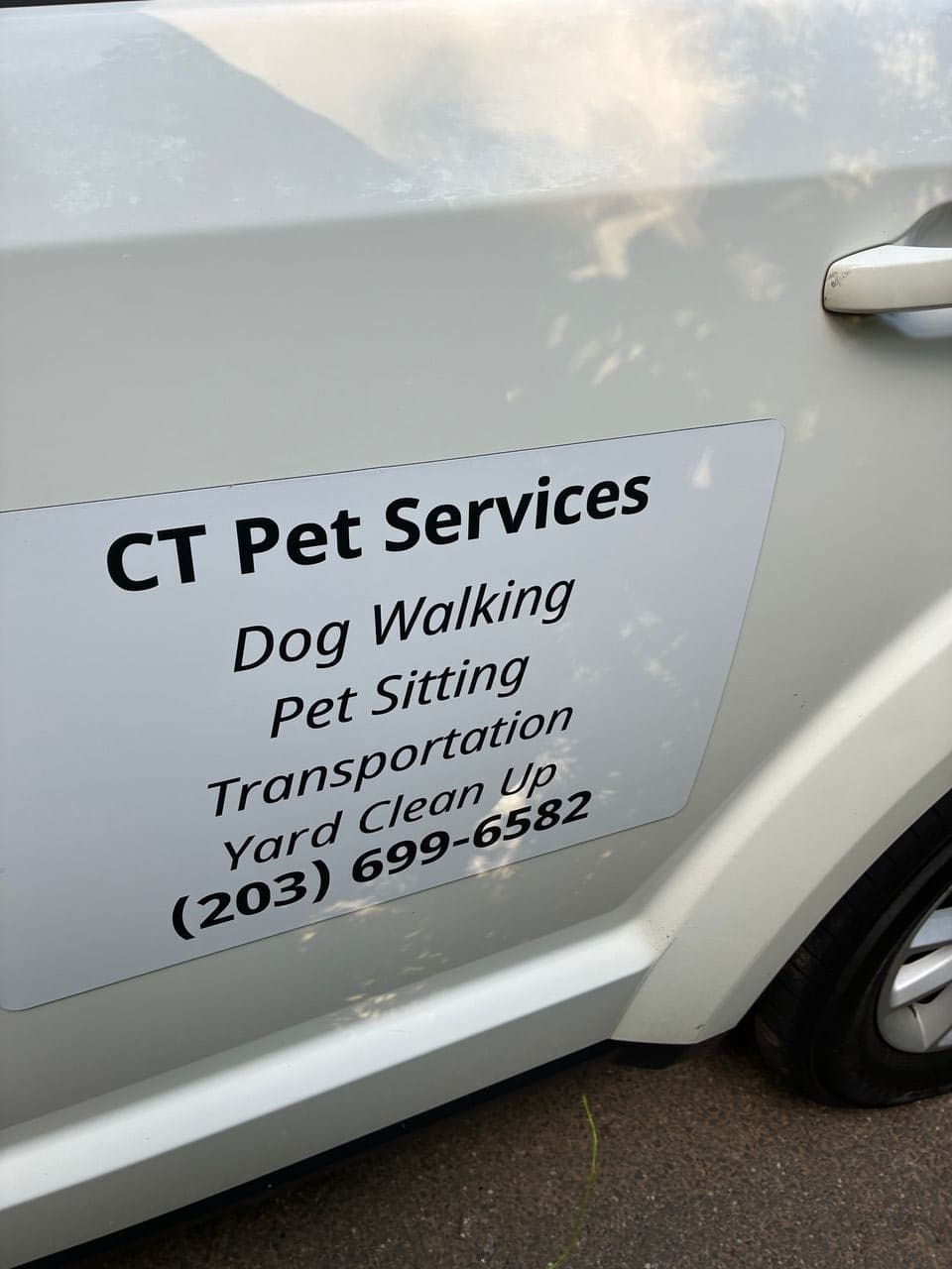 Pet travel photo 6