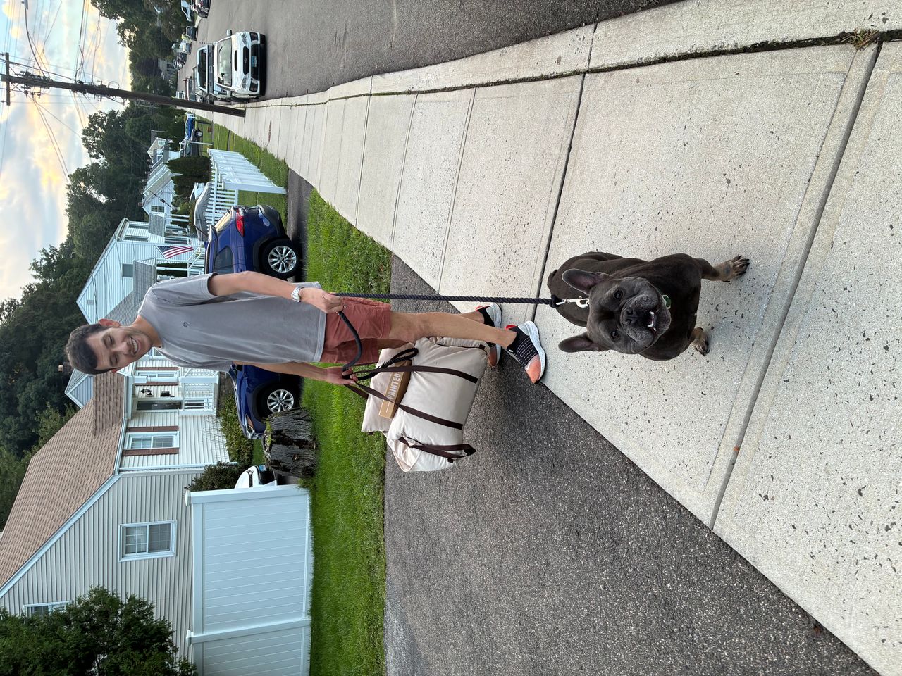 Pet travel photo 4
