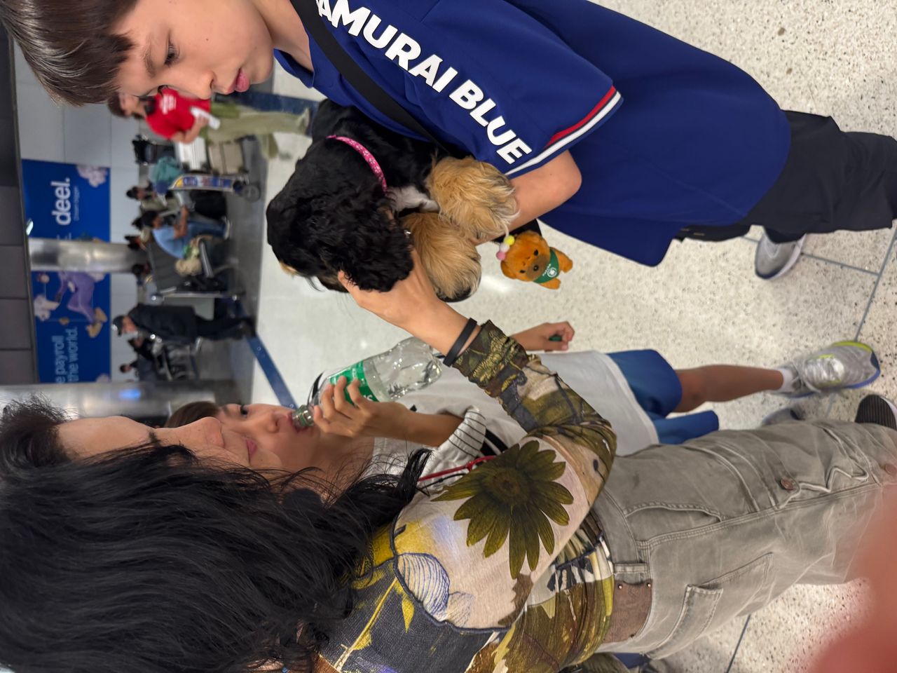 Pet travel photo 1