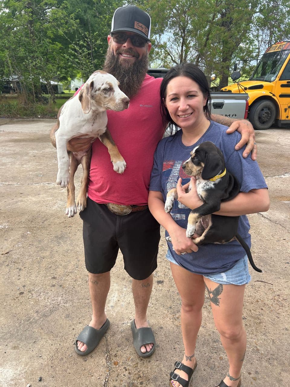Pet travel photo 4
