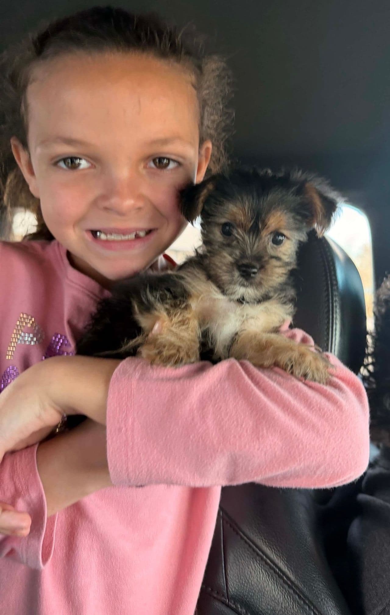 Pet travel photo 2