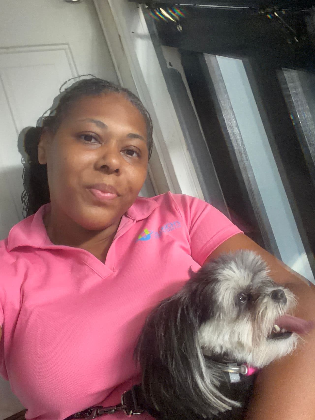 Pet travel photo 5