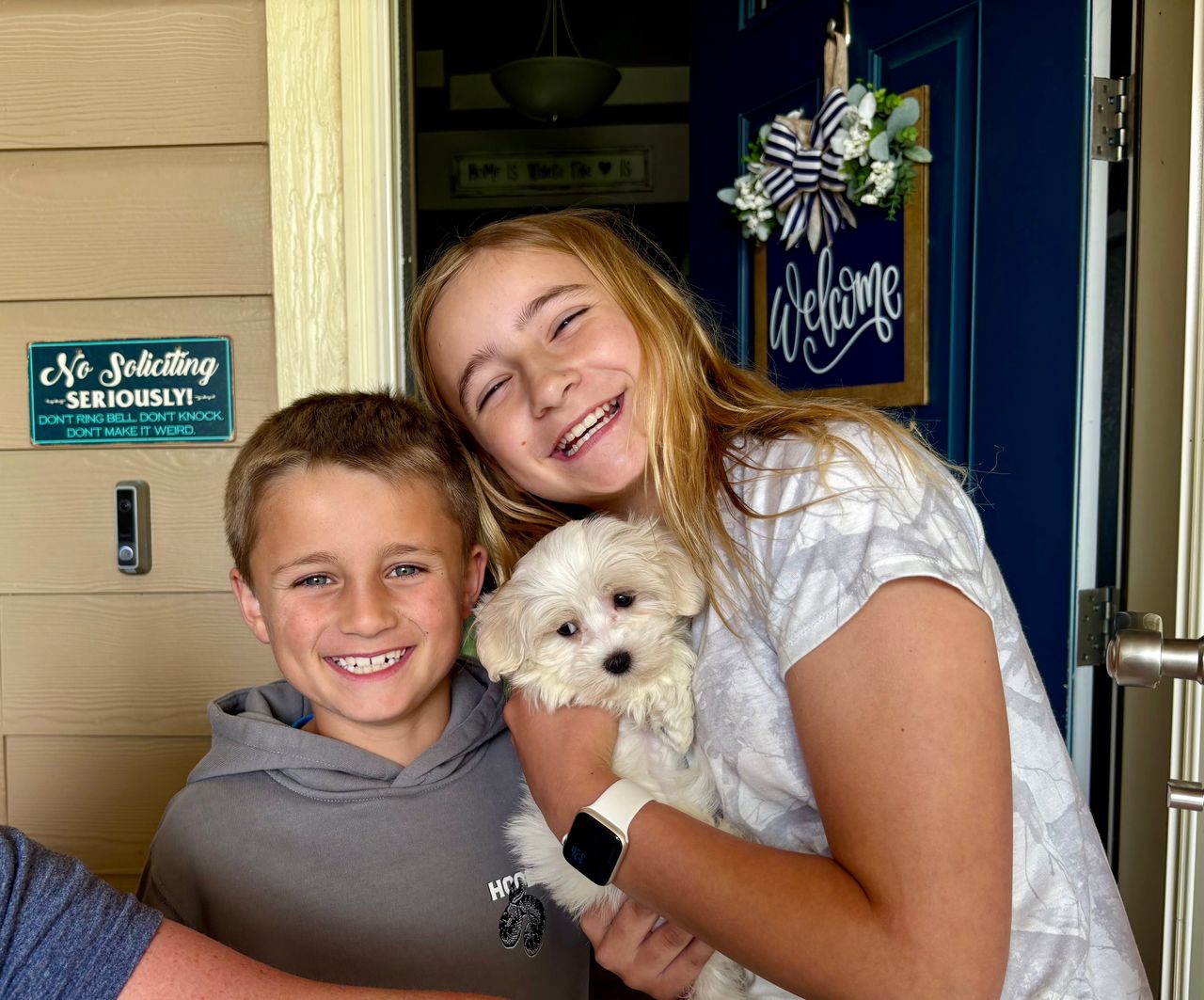 Pet travel photo 2