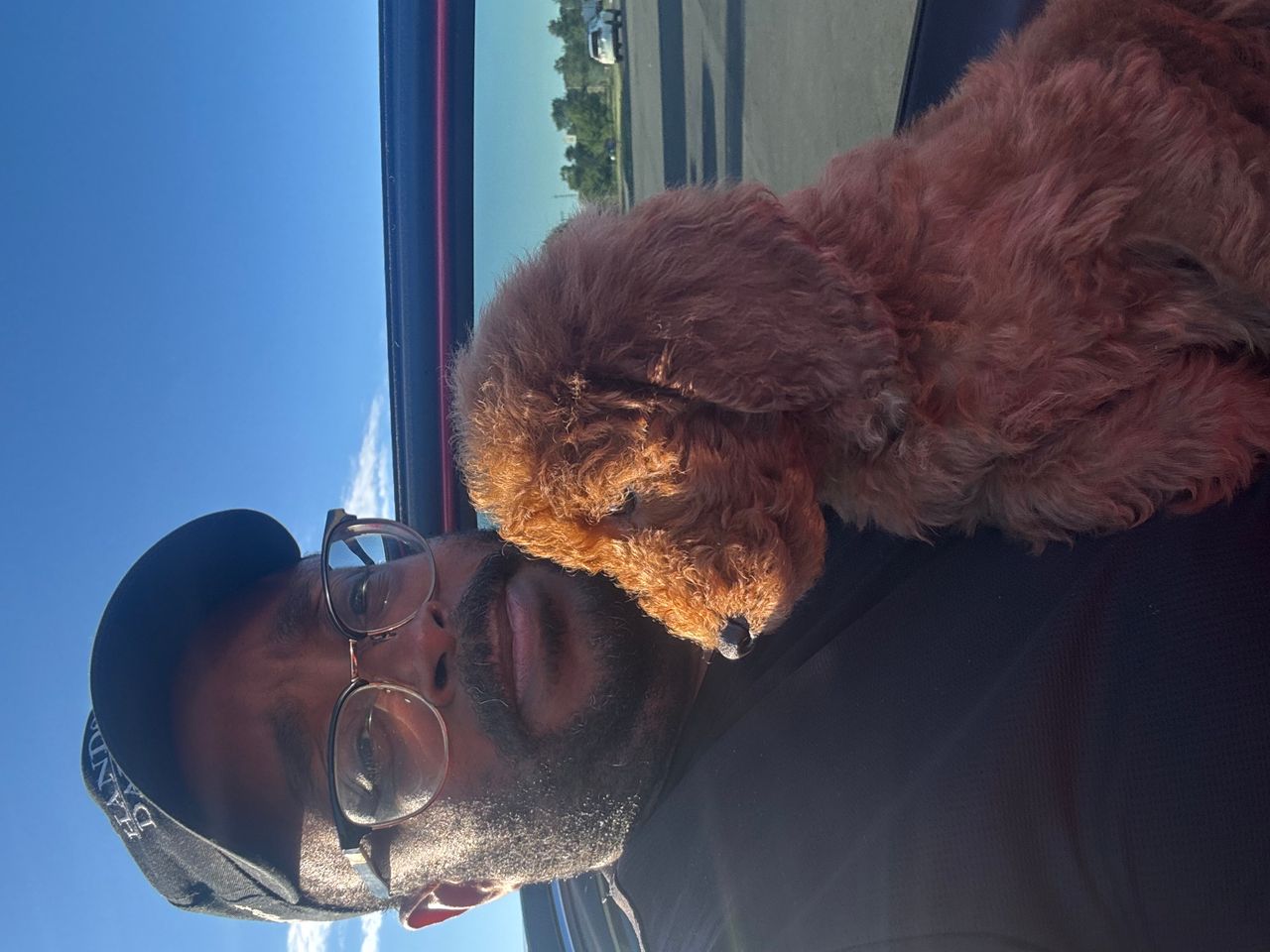 Pet travel photo 2