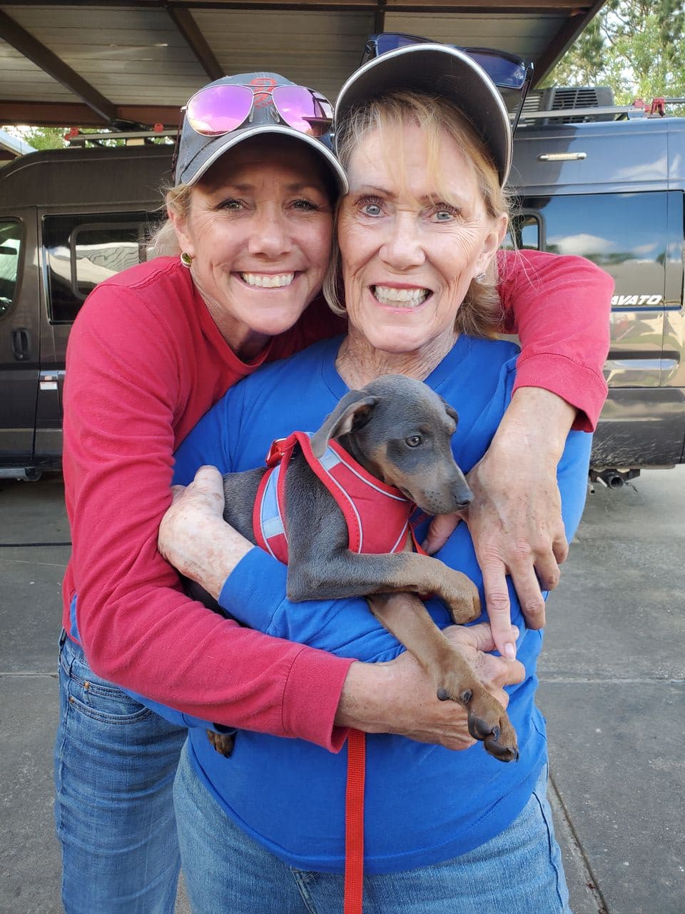 Pet travel photo 3