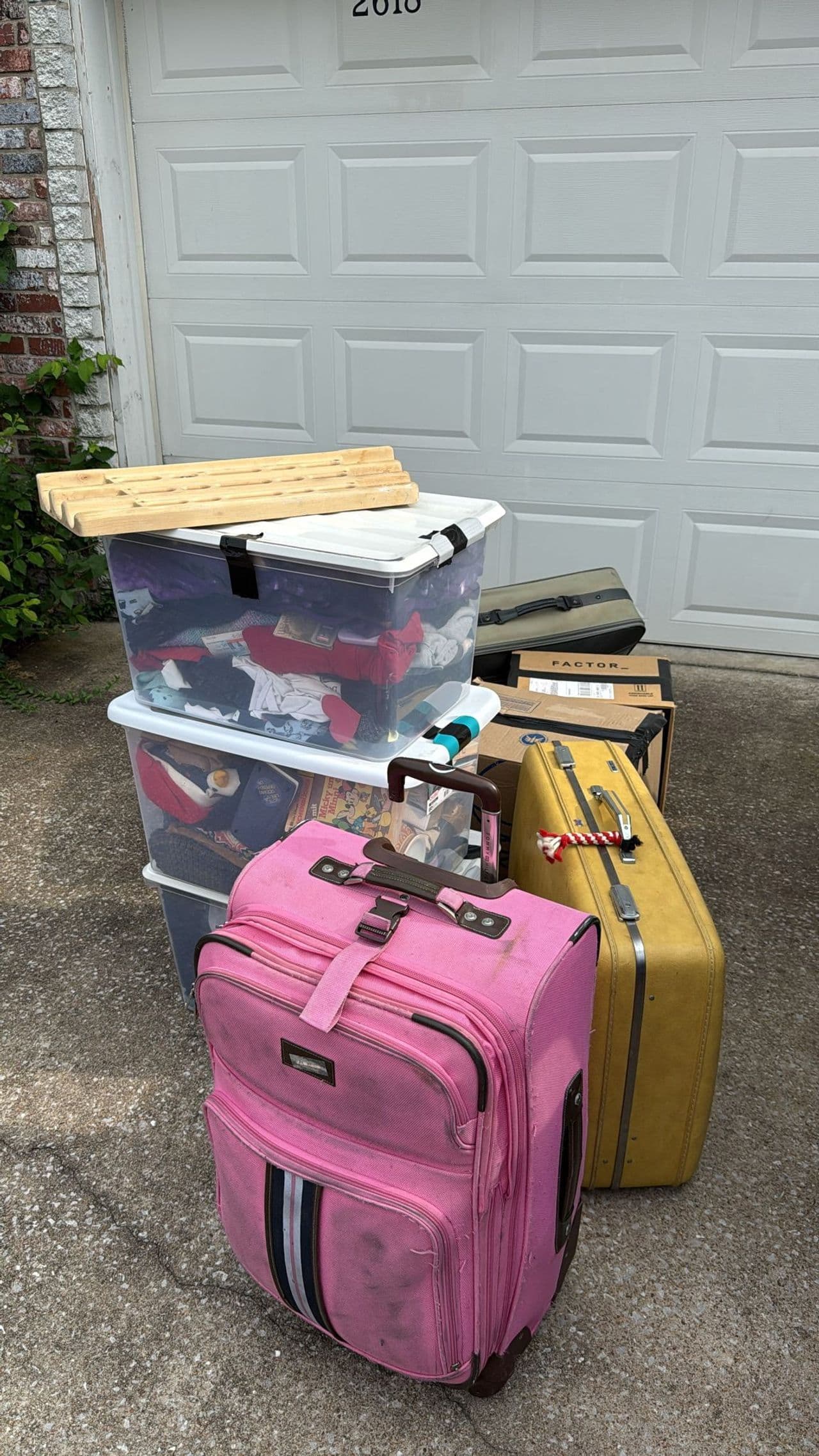 Pet travel photo 6