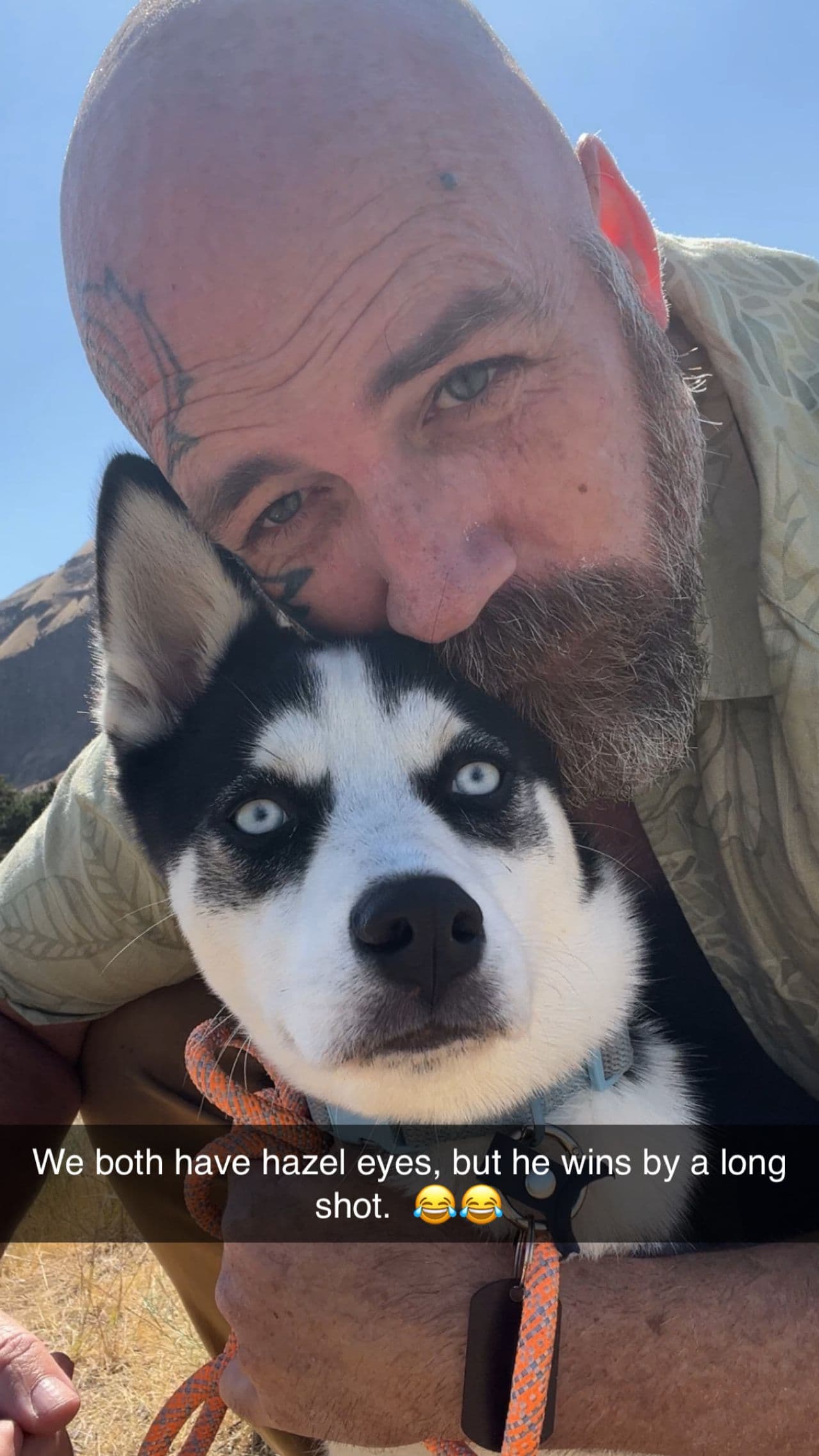 Pet travel photo 3