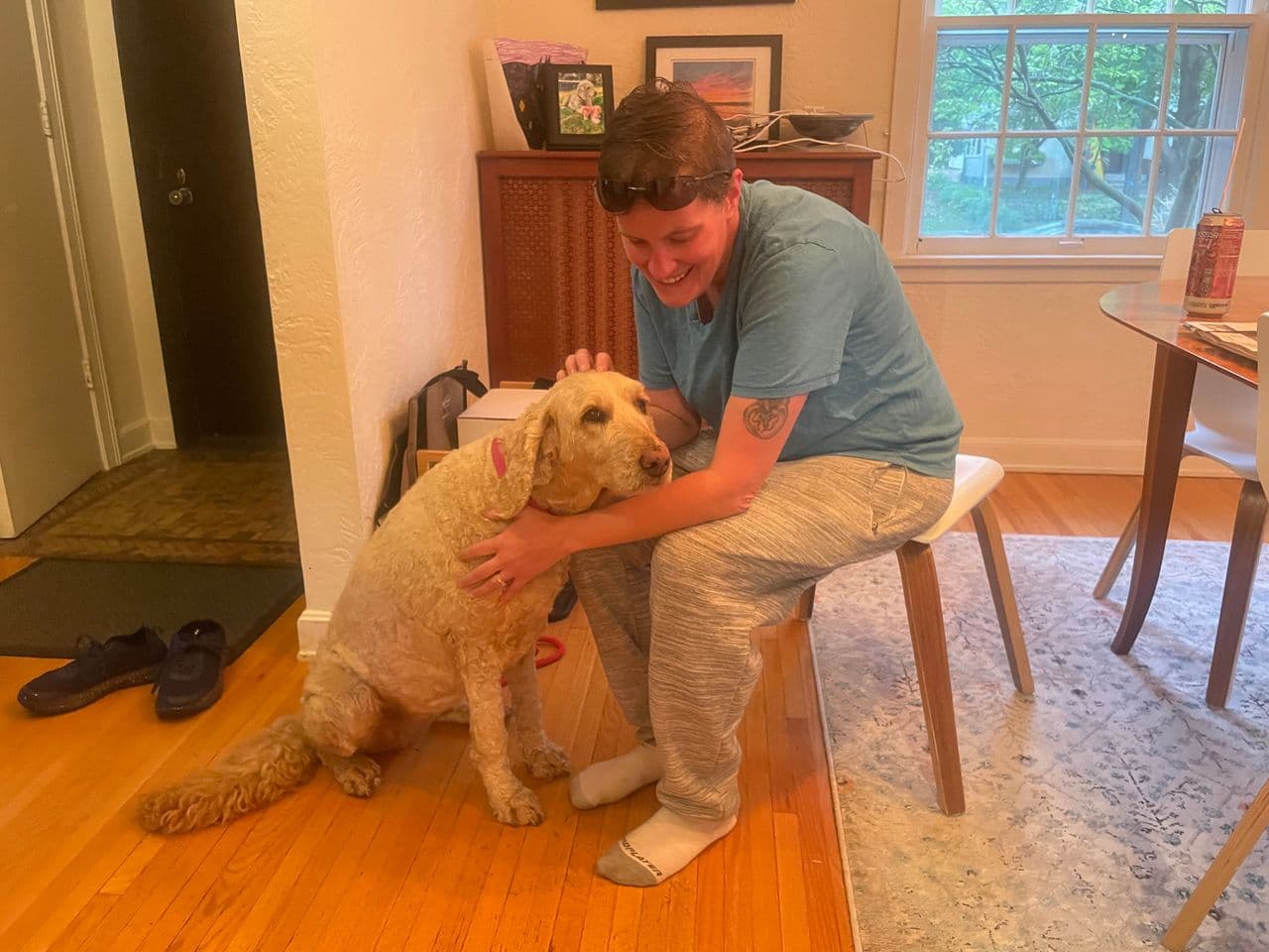 Pet travel photo 1