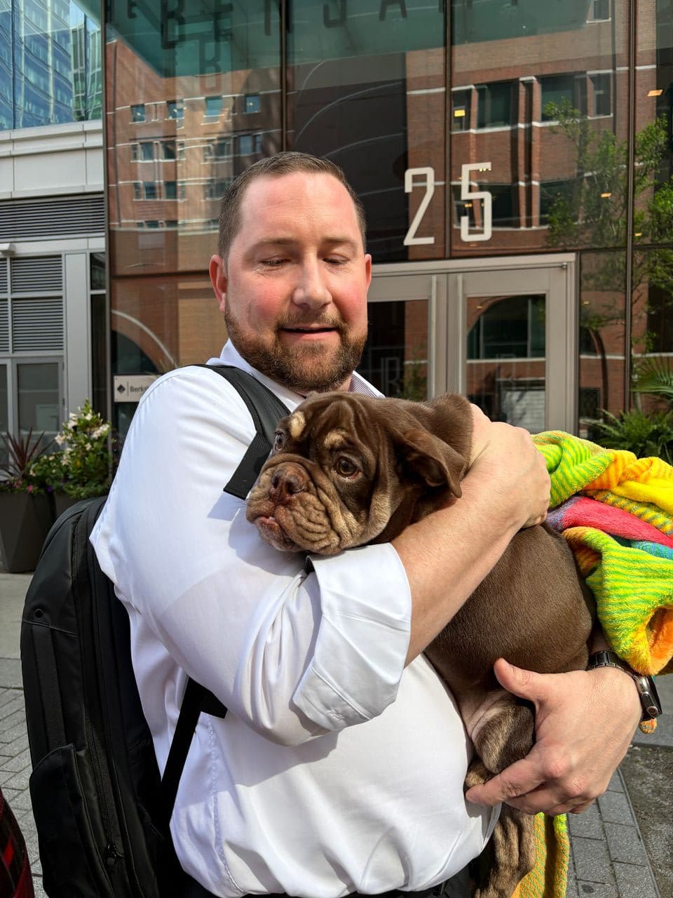 Pet travel photo 2