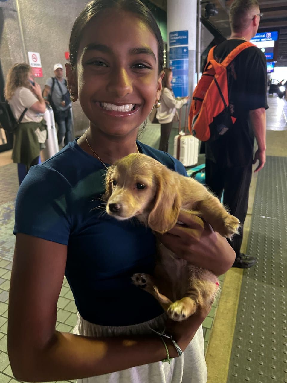 Pet travel photo 3