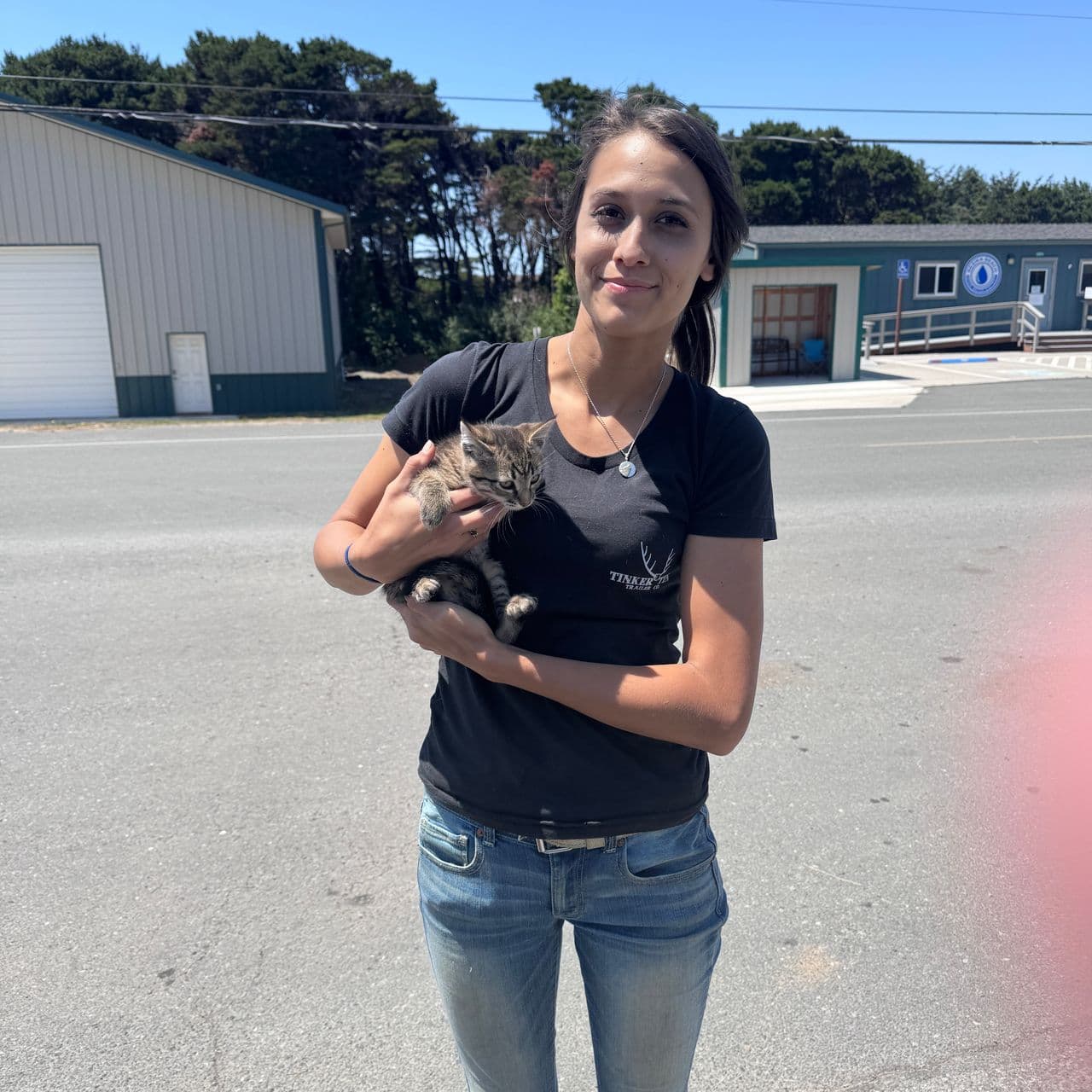 Pet travel photo 1