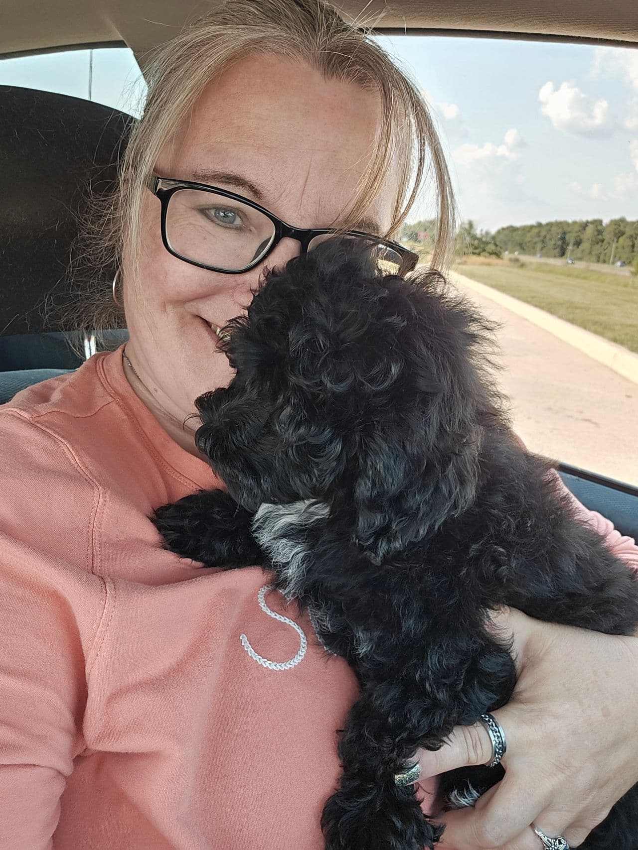 Pet travel photo 2