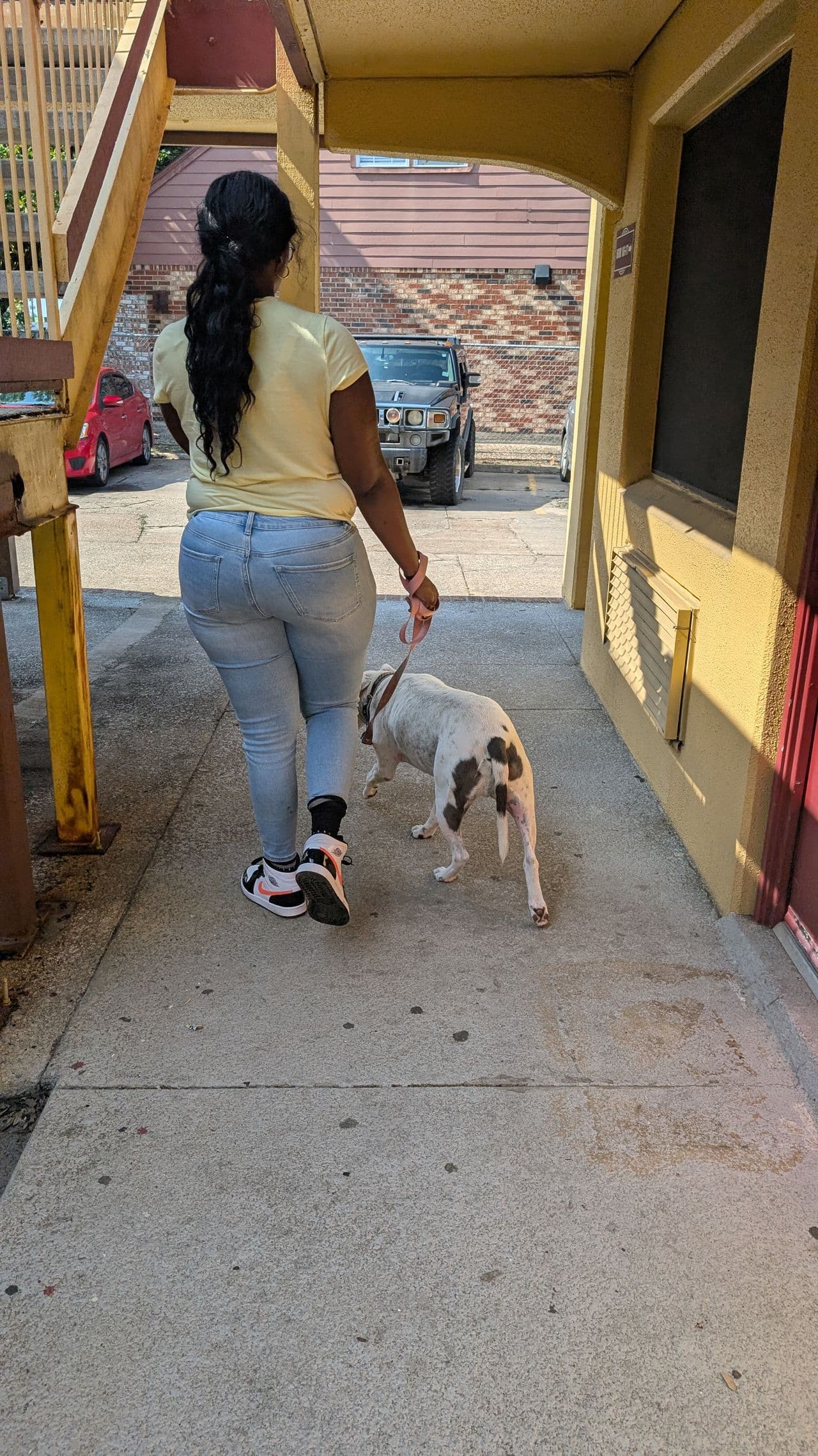 Pet travel photo 2