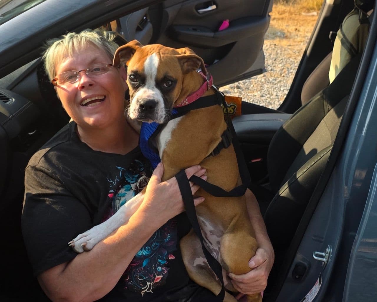 Pet travel photo 2