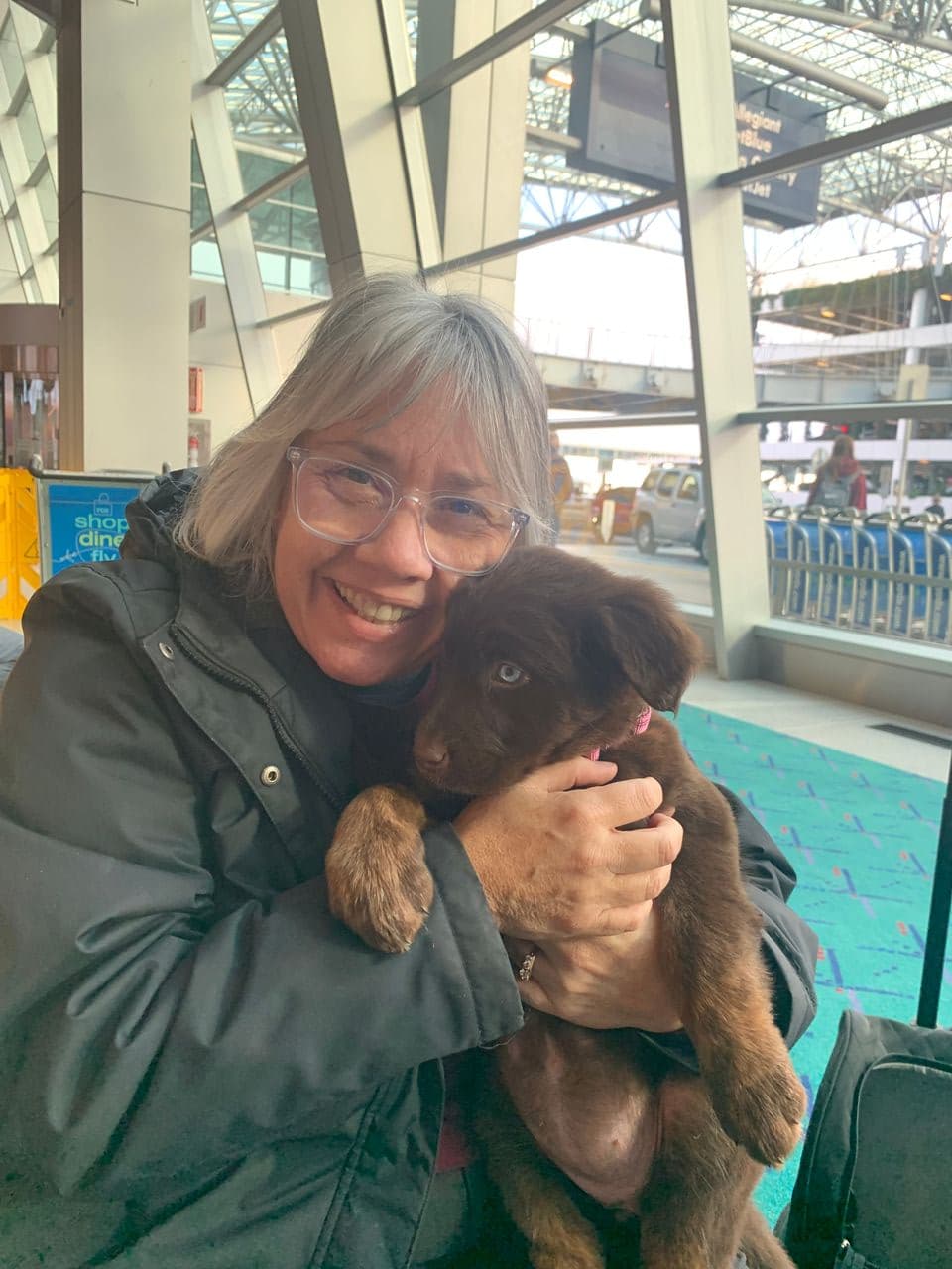 Pet travel photo 1