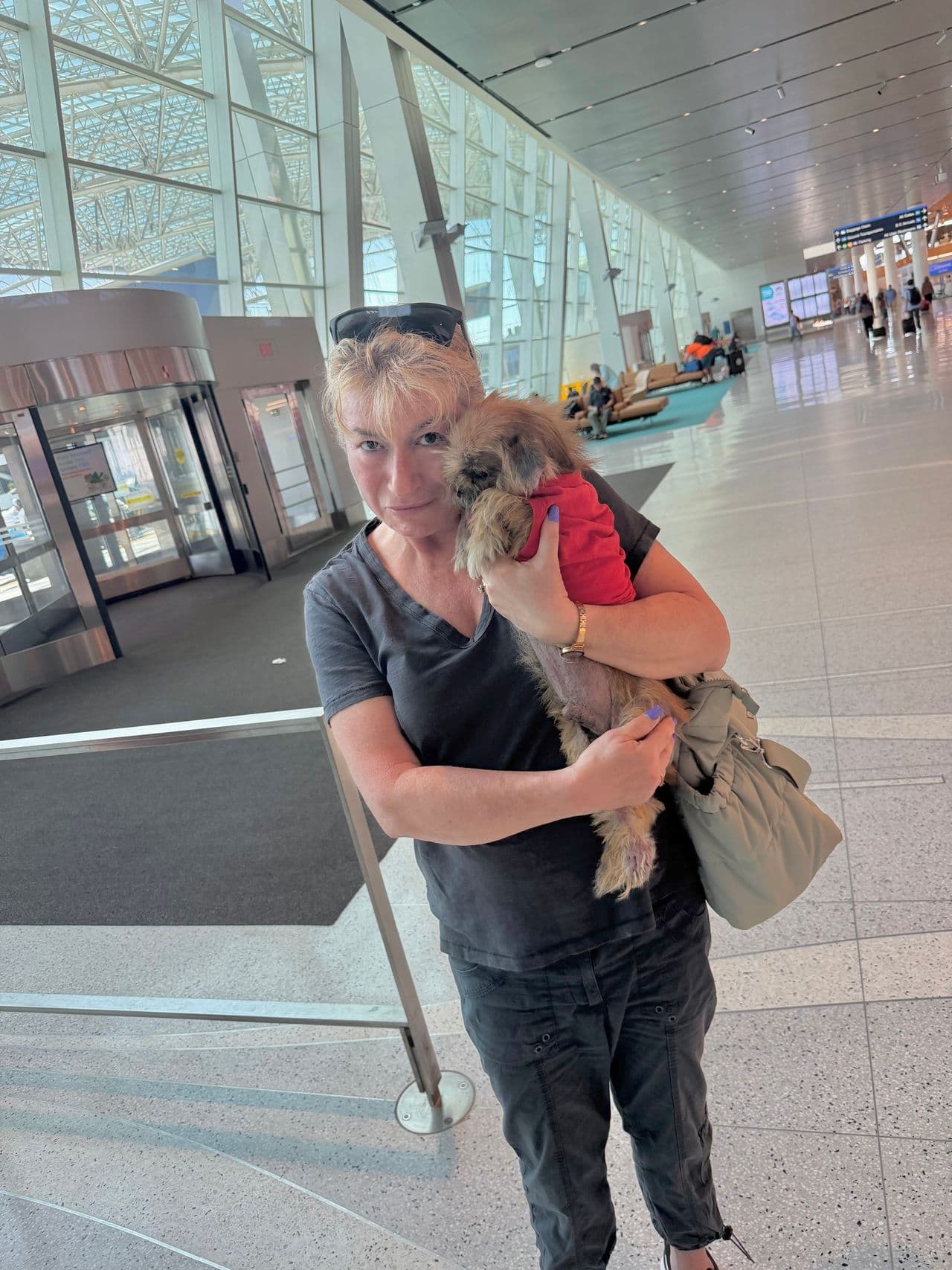 Pet travel photo 1