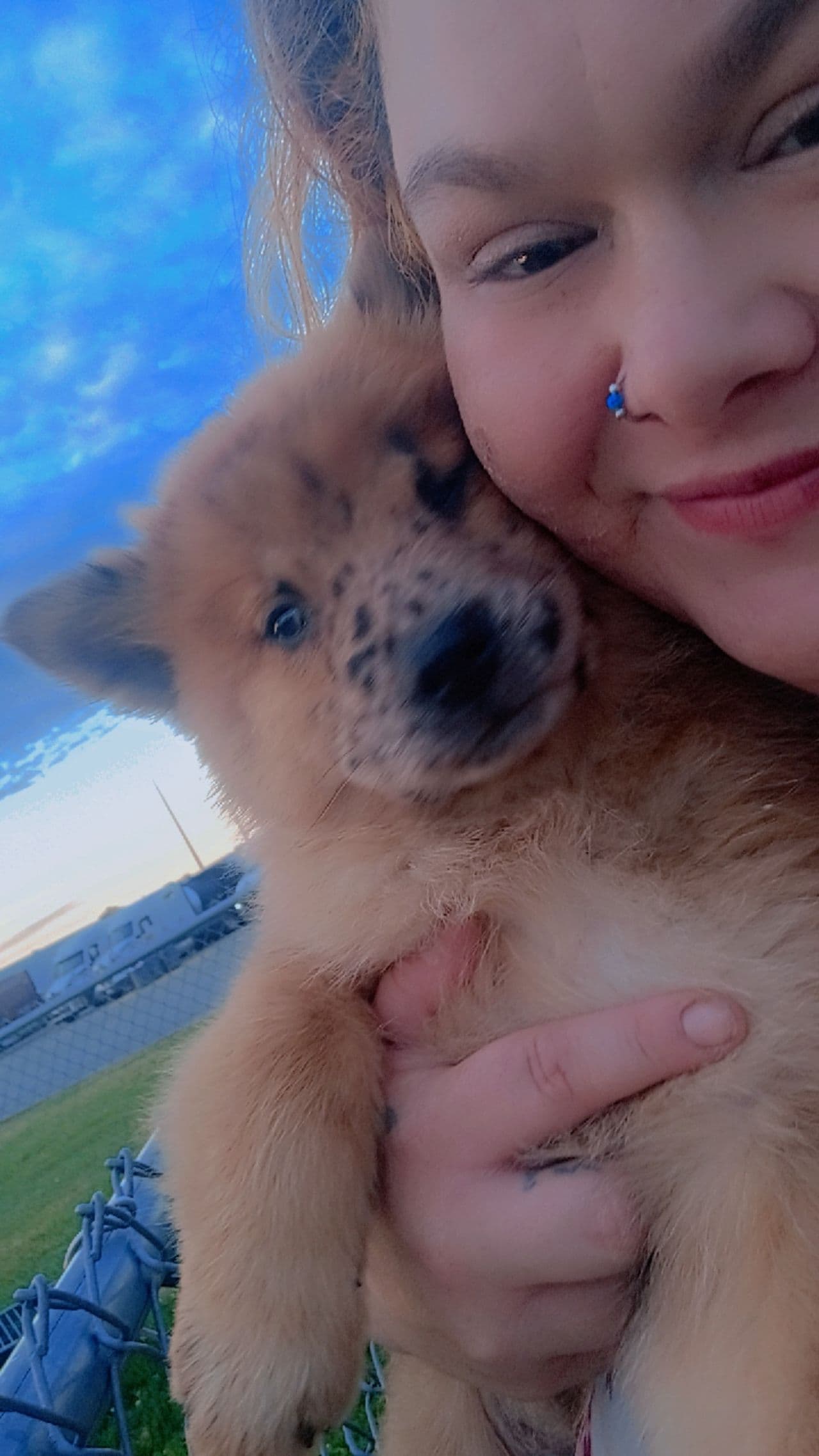 Pet travel photo 4