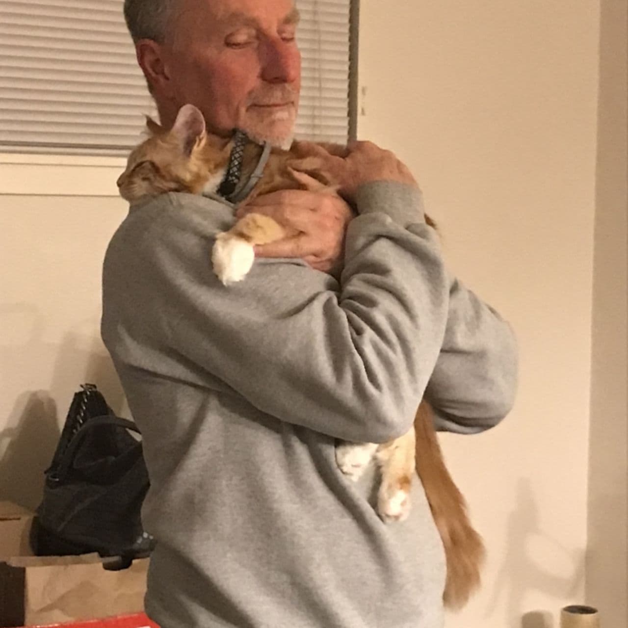 Pet travel photo 2