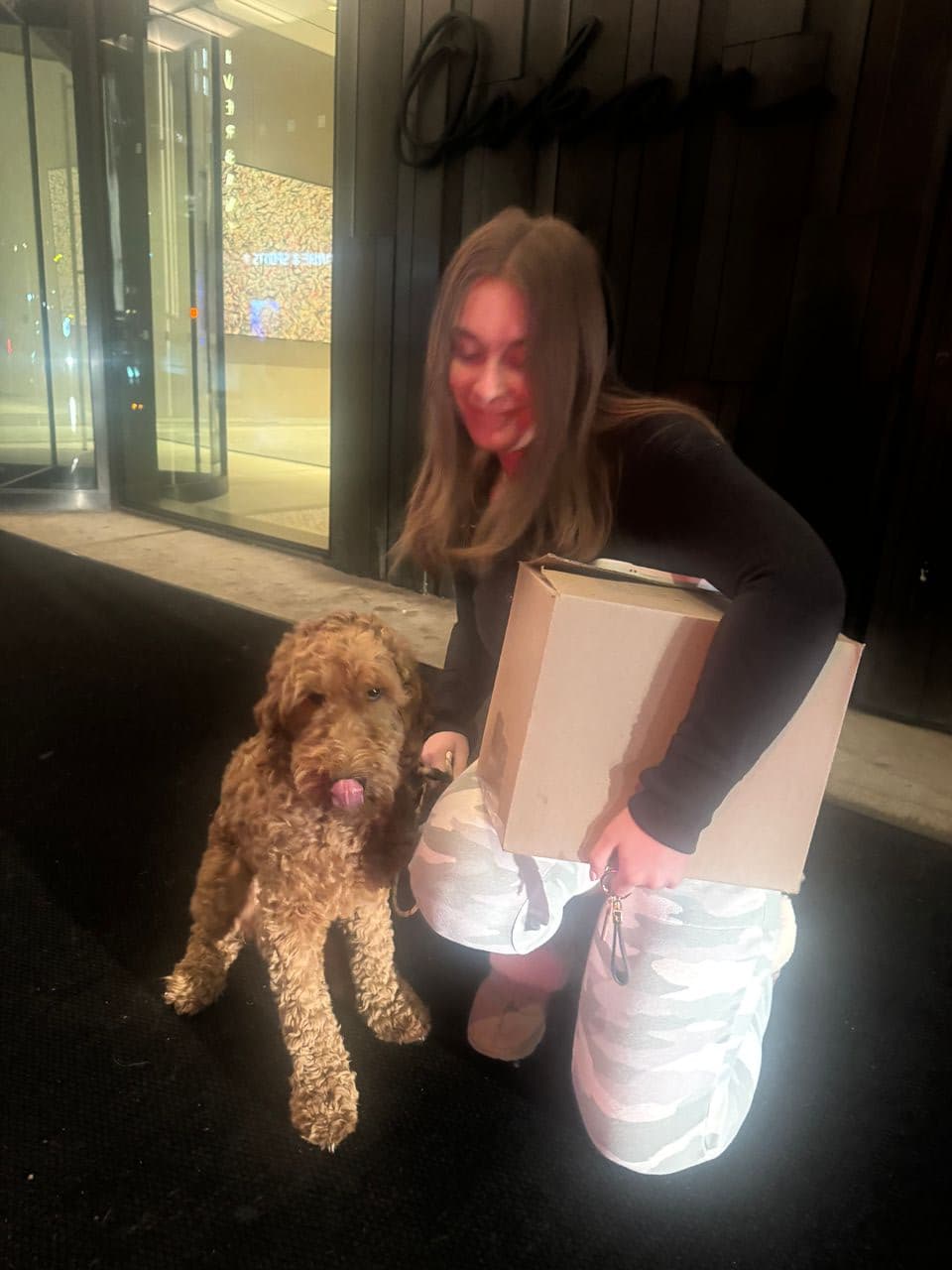 Pet travel photo 3