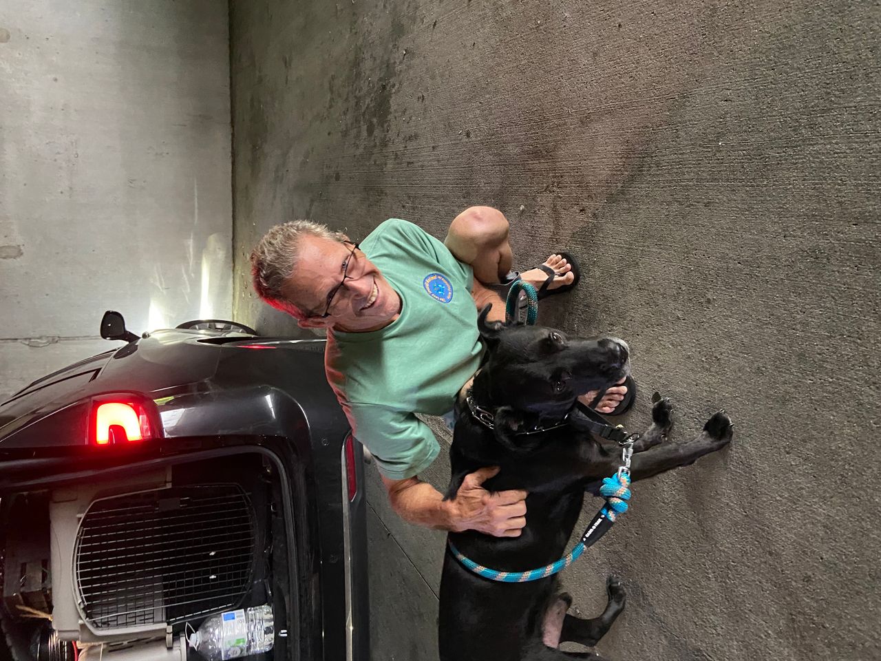 Pet travel photo 4