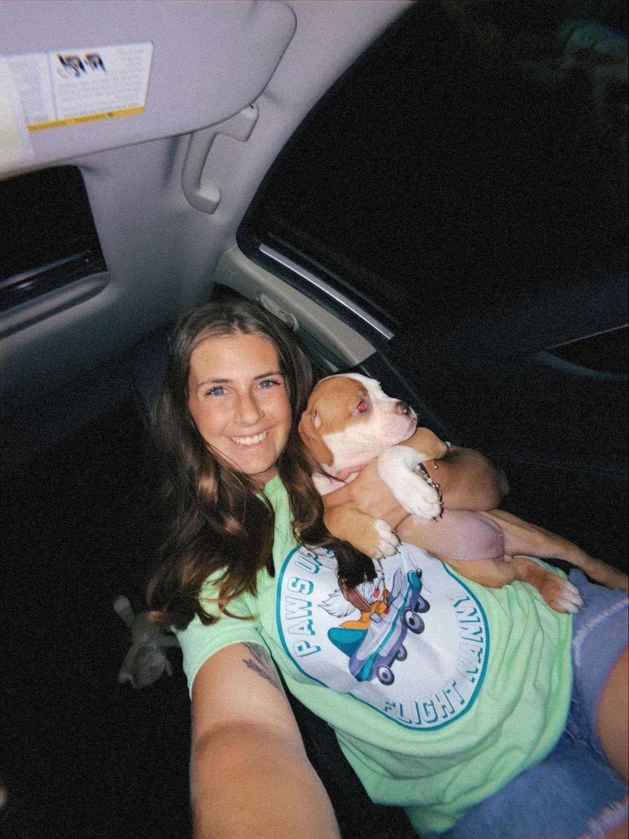 Pet travel photo 3