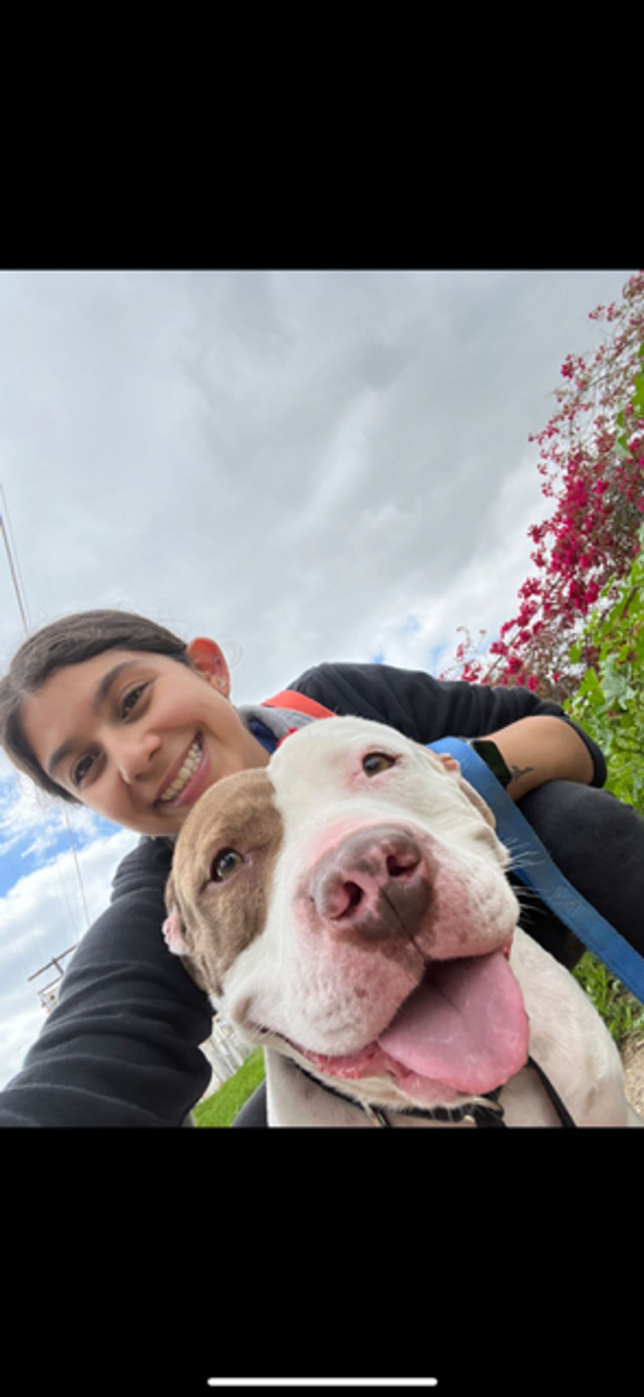 Pet travel photo 6