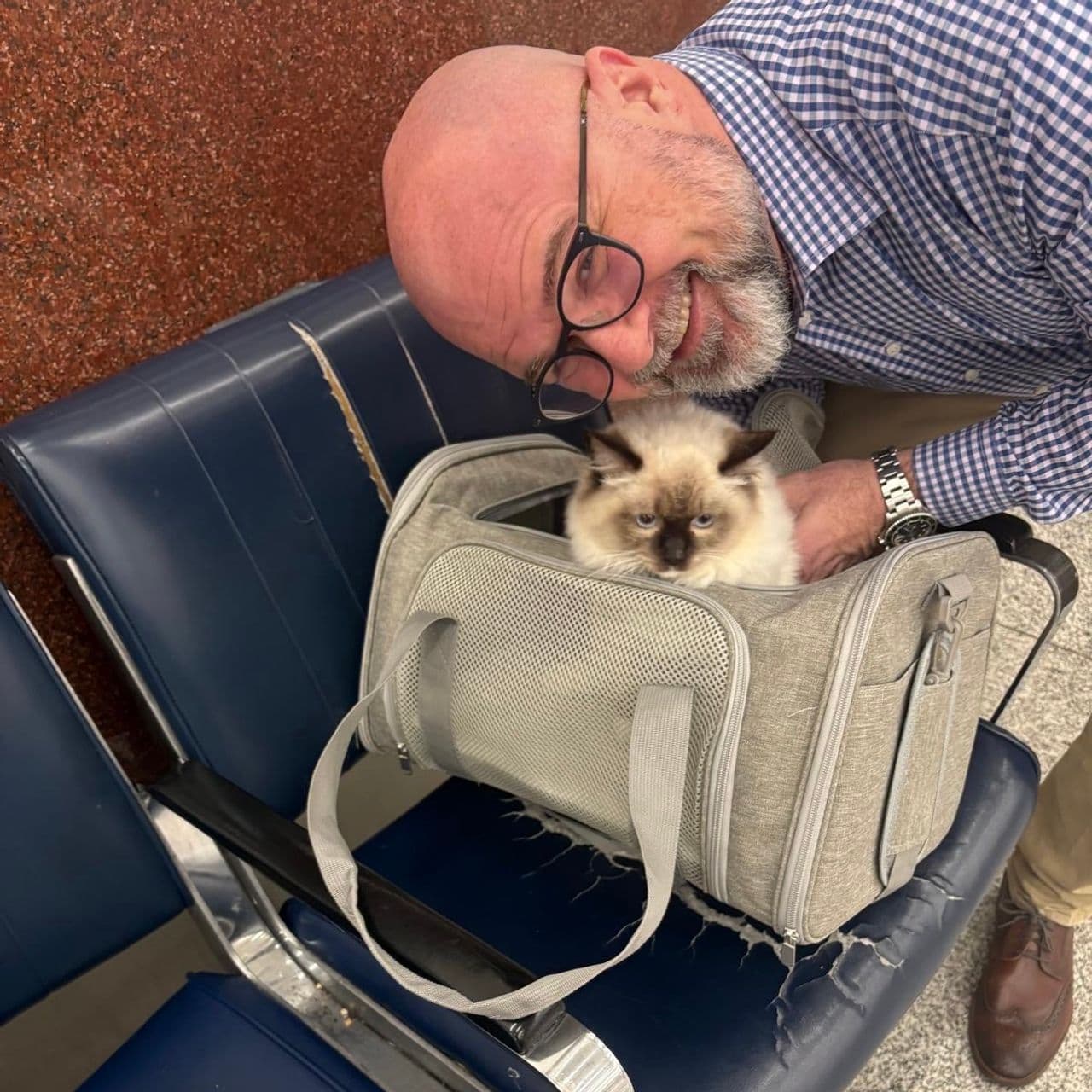 Pet travel photo 4