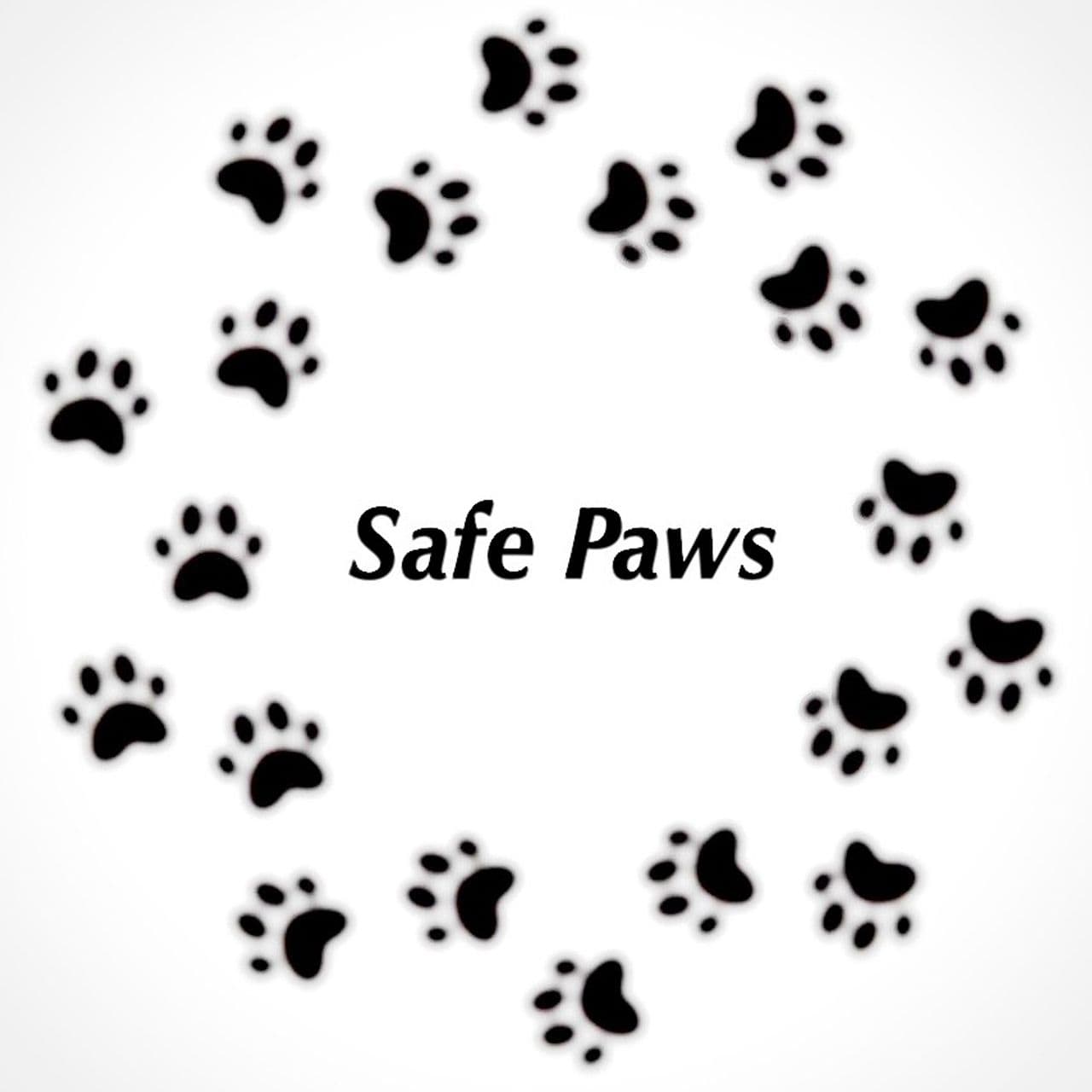 Pet travel photo 1