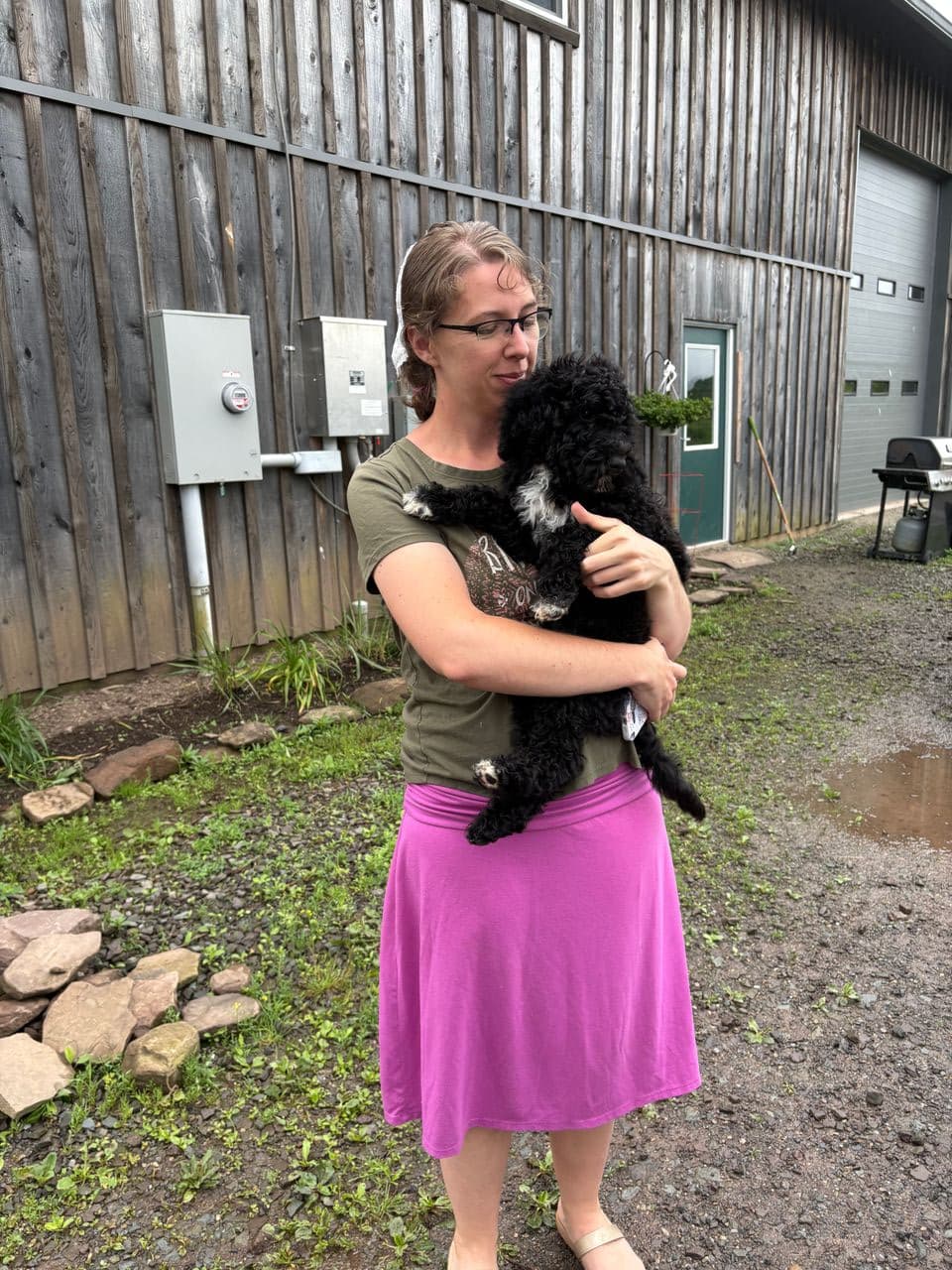 Pet travel photo 3