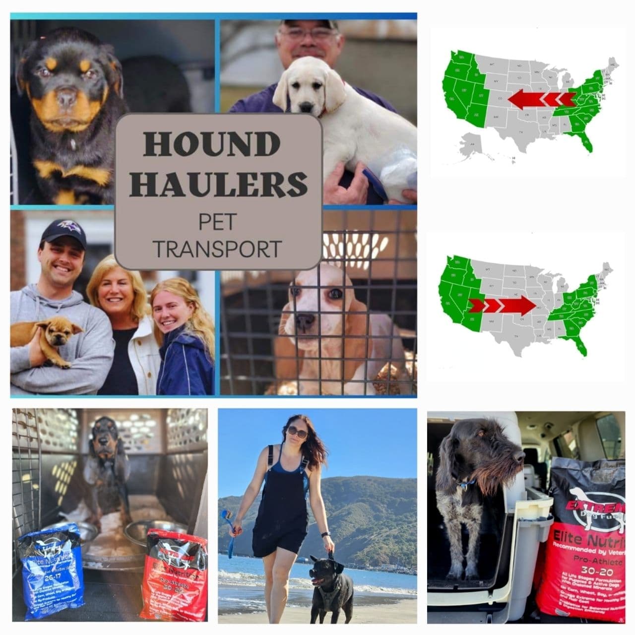 Hound Haulers Pet Transport