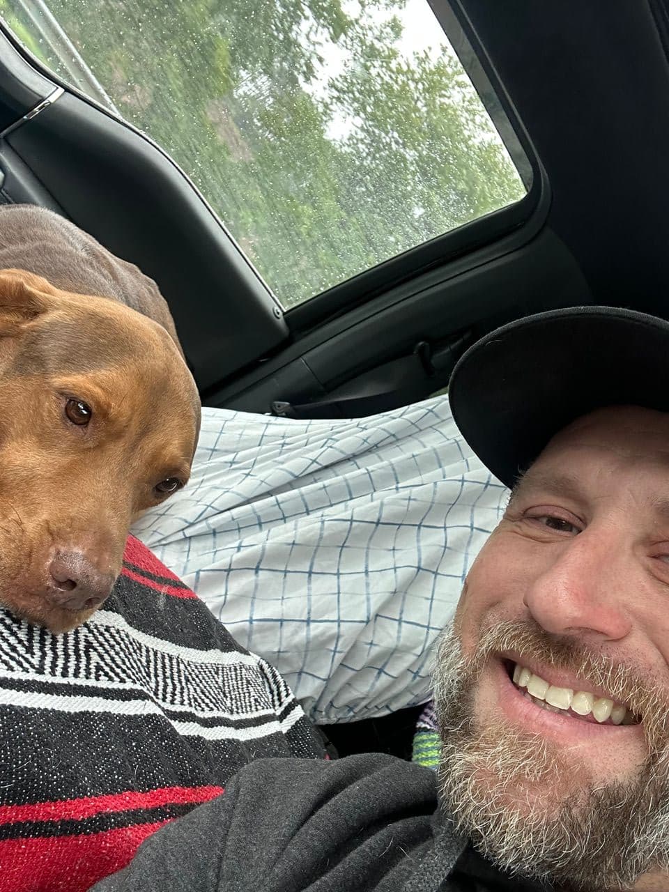 Pet travel photo 5