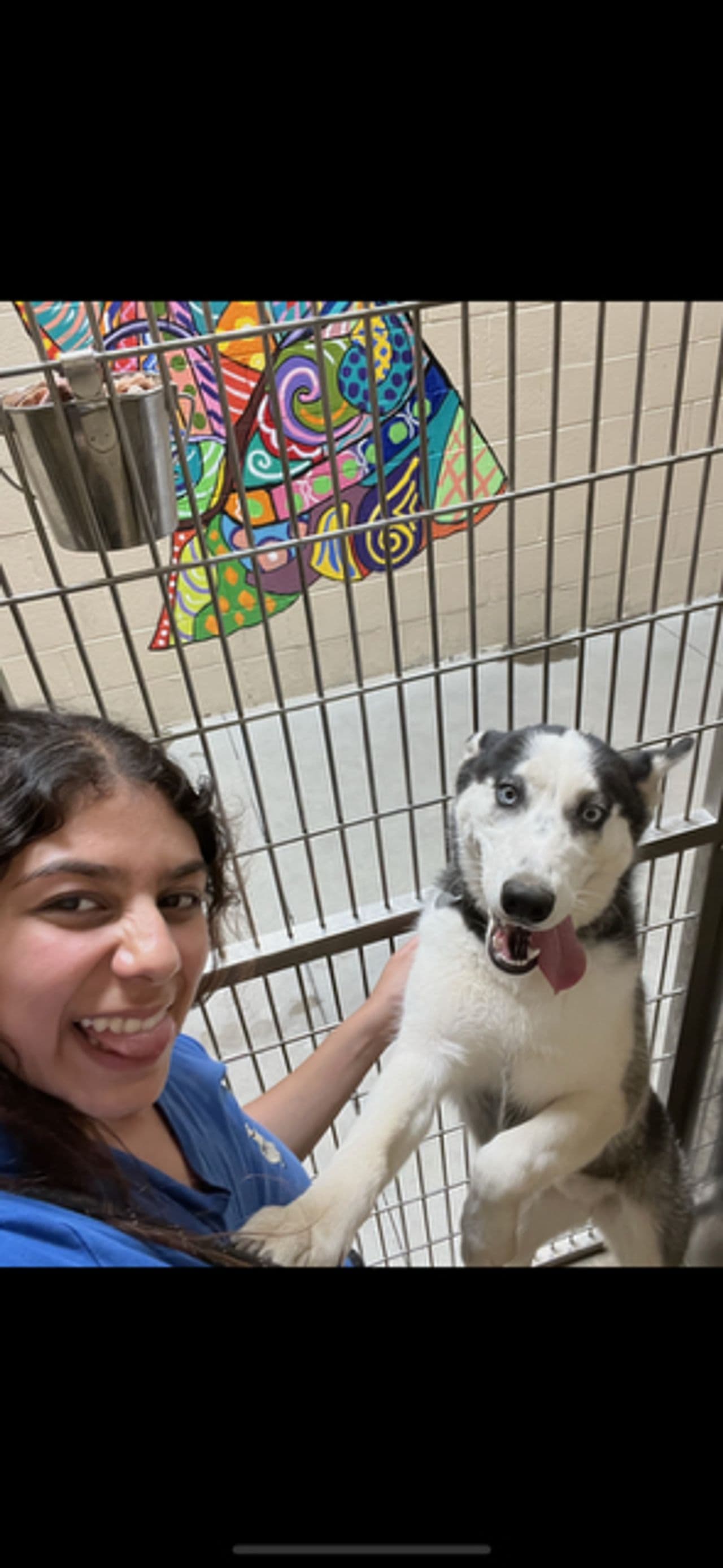 Pet travel photo 5