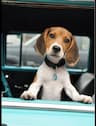 Christian’s Pawsome Journey LLC