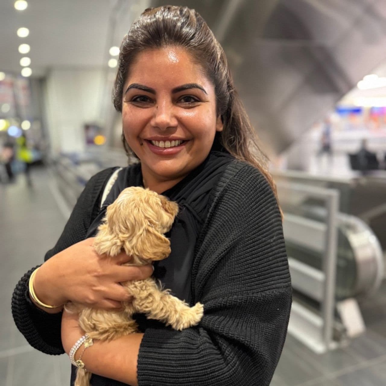 Pet travel photo 5