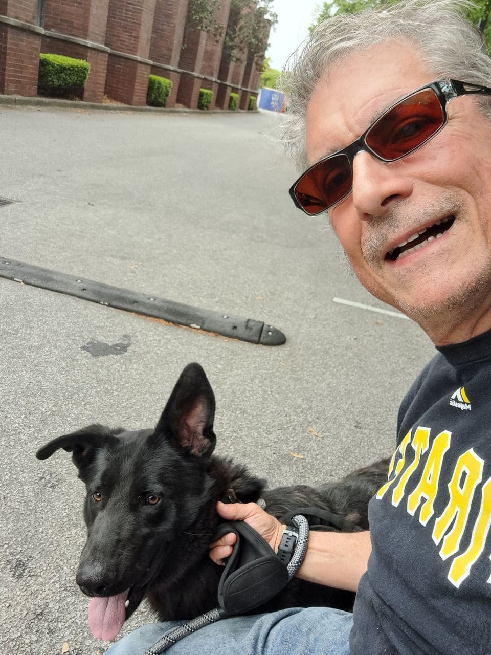 Pet travel photo 2