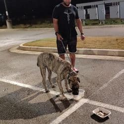 U.S.M.C. Pet Patrol (D.J.)