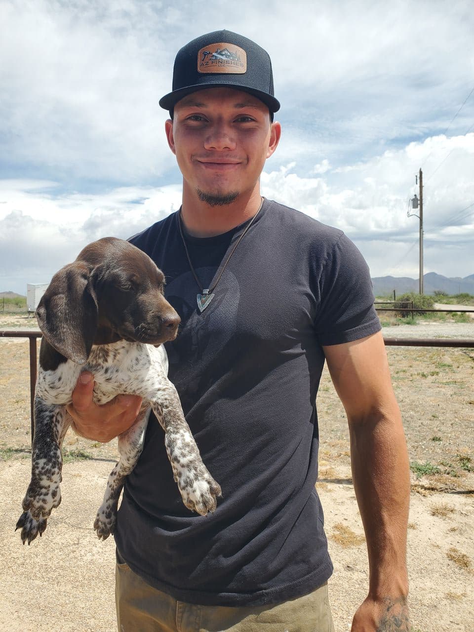 Pet travel photo 4